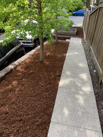 Path and bed cleanup work in progress