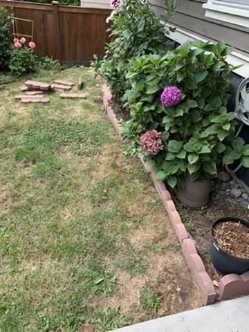 Queen Anne lawn and landscape refresh in progress