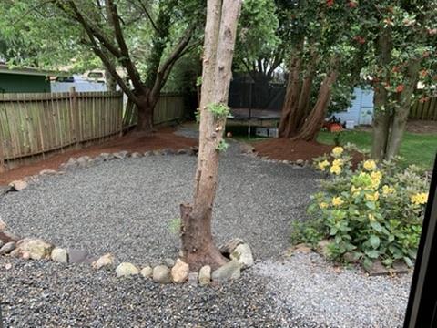 Completed low-maintenance landscape with gravel and mature trees